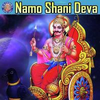 Shani Mantra Vighnesh Ghanapaathi,Gurumurthi Bhat,Shridhara Bhat (Vedadhara) Song Download Mp3