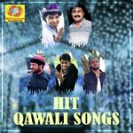 Sulthaanul Owliyaa Kannur Shareef Song Download Mp3