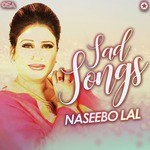 Jadon Da Sada Dil Tutiya Naseebo Lal Song Download Mp3