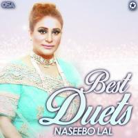 Karin Na Tu Telephone Khat Vi Na Pavin Ve Naseebo Lal,Akram Rahi Song Download Mp3