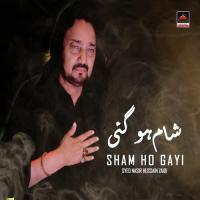 Ya Hussain Ya Hussain Syed Nasir Hussain Zaidi Song Download Mp3