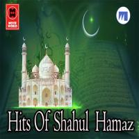 Malabarin Shahul Hamaz Song Download Mp3