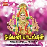 Om Sri Vigna Vinayagane Prabhakar Song Download Mp3