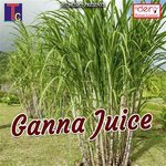 Ganna Juice Kailash Sahu,Champa Nishad Song Download Mp3