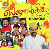 Swargam (Karaoke Version) Shafi Kollam Song Download Mp3