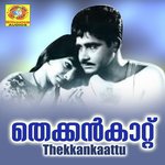 Orkkumbol P. Susheela Song Download Mp3