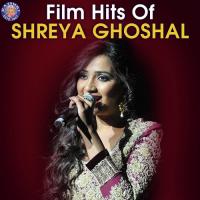 Do Anjaane Ajnabi Udit Narayan,Shreya Ghoshal Song Download Mp3