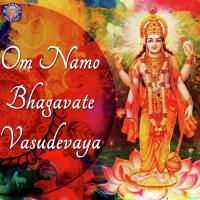 Om Namo Bhagwate Vasudevay Ketan Patwardhan Song Download Mp3