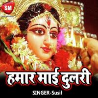 Bagh Sawari Aaba Mahatari Sushil Song Download Mp3