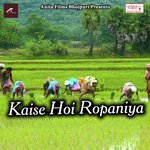 Kaise Hoi Ropaniya Laddu Madhesiya Song Download Mp3