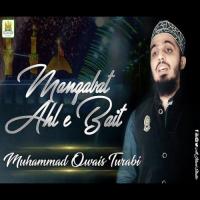 Manqabat Ahl-e-Bait Muhammad Owais Turabi Song Download Mp3