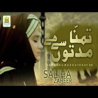 Tamanna Muddaton Se Hai Saliha Zaheer Song Download Mp3