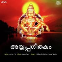 Manassenna Pambayil Nishanth Warrier,Neeraj Warrier Song Download Mp3