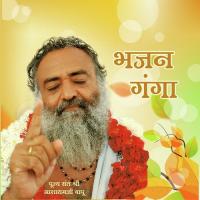 Vyarth Chintit Ho Rahe HO (GitaSaar) Sant Shri Asharamji Bapu Song Download Mp3