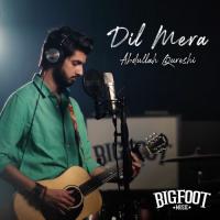 Dil Mera Abdullah Qureshi Song Download Mp3