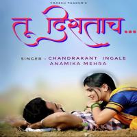 Tu Distach Chandrakant Ingale,Anamika Mehra Song Download Mp3