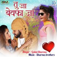 Tu Ja Bewafa Ja Gokul Sharma Song Download Mp3