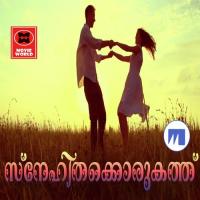 Niyalayi Vannoru Nisar Wayanad Song Download Mp3