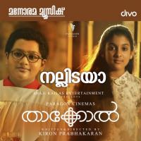 Nallidaya Mridula Warrier,Nivas Song Download Mp3