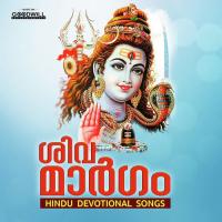 Sreedarma Shasthave Shine Kumar Song Download Mp3