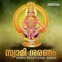 Mithyayiluyalunna Satheesh Kumar Song Download Mp3