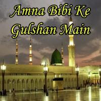 Jashn E Amad E Rasool Hafiza Areeba Ansari,Hafiza Tayyaba Ansari Song Download Mp3