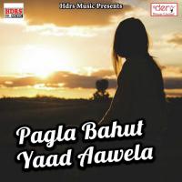 Ka Dihalu Pagal Gori Videshi Lal Yadav,Anshubala Kumar Song Download Mp3