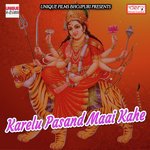 Kahe Kailu Pasand SKD Raj Song Download Mp3