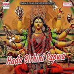 Bhauji Chala Baba Dham Prakash Pawan Yadav Song Download Mp3