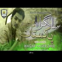 Happy Birthday Pakistan Waqar Haider Zaidi Song Download Mp3