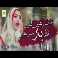 Hazir Hain Tere Darbar Mein Hum Numra Saleem Song Download Mp3