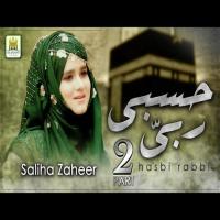 Hasbi Rabbi Part 2 Saliha Zaheer Song Download Mp3