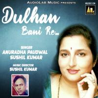 Jeena Marna Tere Liye Anuradha Paudwal Sushil Kumar Song Download Mp3