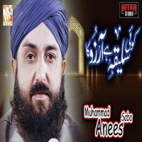 Koi Saleeqa Hai Aarzo Ka Muhammad Anees Saba Song Download Mp3