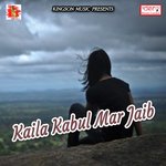 Jahiya Tohar Doli Uthi Anil Rajbhar Song Download Mp3