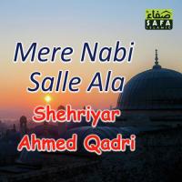 Mere Nabi Salle Ala Shehriyar Ahmed Qadri Song Download Mp3