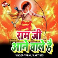 Jai Ho Devi Maiya Vinod Mahi Song Download Mp3