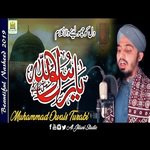 Ya RasoolAllah ﷺ Muhammad Owais Turabi Song Download Mp3