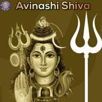 Shankar Aarti - Lavthavti Vikrala Prathamesh Laghate Song Download Mp3