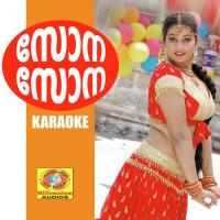 Thaarakam (Karaoke Version) Beericheri Song Download Mp3