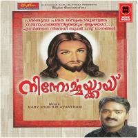 En Hridhayathin Elizabeth Raju Song Download Mp3