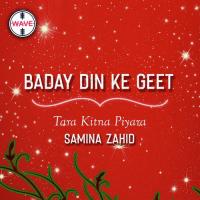 Tara Kitna Piyara Samina Zahid Song Download Mp3