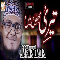 Teri Mehfil Main Hafiz Muhammad Jafar Qadri Song Download Mp3