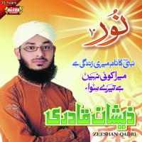 Baray Peer Dastgeer Zeeshan Qadri Song Download Mp3