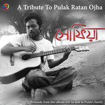 Nagorik Dinjapon Pulak Ratan Ojha Song Download Mp3