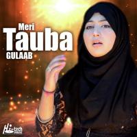 Meri Tauba Gulaab Song Download Mp3