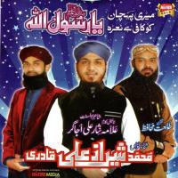 Mustafa SAWW Ka Jashan Shiraz Ali Qadri Song Download Mp3