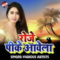 Bhatar Wala Hook Dhaile Ba Anita Shiwani Song Download Mp3