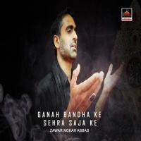 Tedi Dhee Baba Tedy Maqtal Wich Zawar Nokar Abbas Song Download Mp3