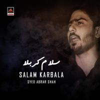 Wichri Bhira Nu Kerdi Sughra S.a (Vichora) Syed Abrar Shah Song Download Mp3